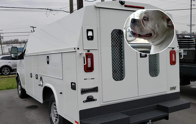 Stay Safe. Call Today!